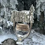 Schwarzwald-anni Pool Tennis Sauna Διαμέρισμα Schonach im Schwarzwald