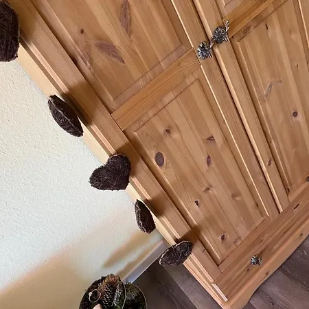 Schwarzwald-anni Pool Tennis Sauna *