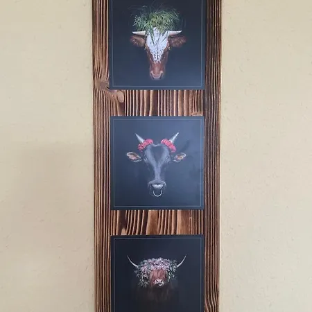 Apartmán Schwarzwald-anni Pool Tennis Sauna