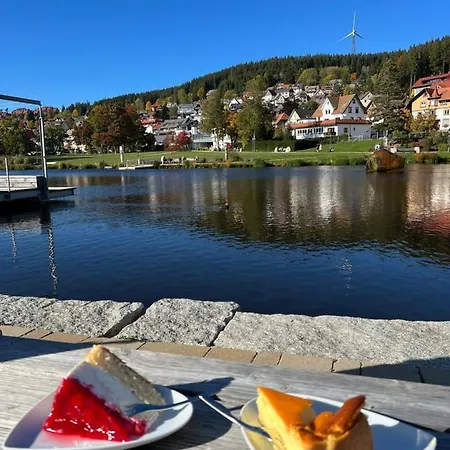 Schwarzwald-anni Pool Tennis Sauna * Schonach im Schwarzwald