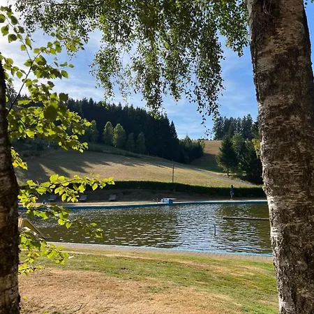 Schwarzwald-anni Pool Tennis Sauna Lejlighed *