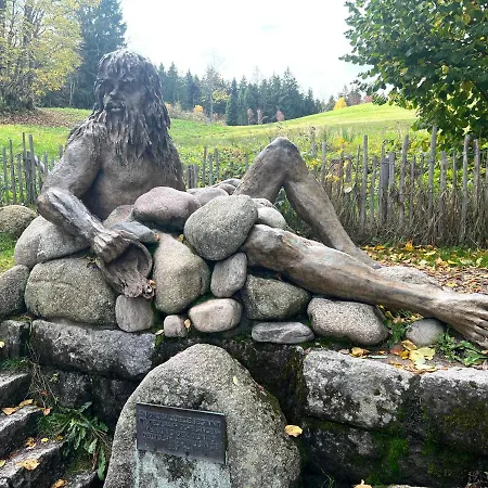 Schwarzwald-anni Pool Tennis Sauna * Schonach im Schwarzwald