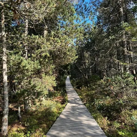 Schwarzwald-anni Pool Tennis Sauna * Schonach im Schwarzwald