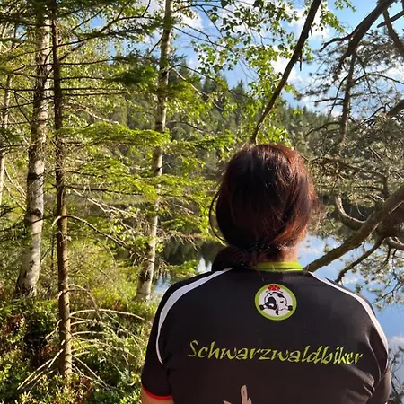 Schwarzwald-anni Pool Tennis Sauna *