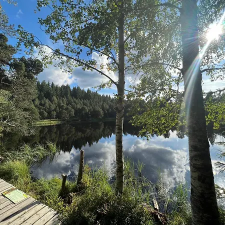 Schwarzwald-anni Pool Tennis Sauna Apartmán Schonach im Schwarzwald