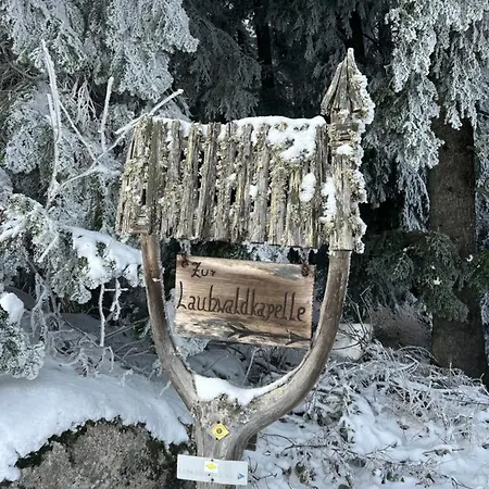 Schwarzwald-anni Pool Tennis Sauna Apartmán Schonach im Schwarzwald