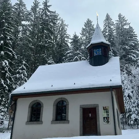 Schwarzwald-anni Pool Tennis Sauna